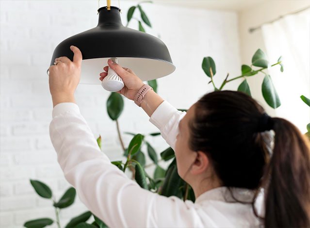 Artificial Lighting for Fiddle Leaf fig