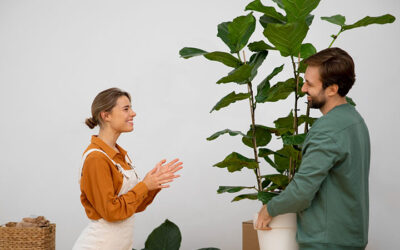 5 Hidden Signs Your Fiddle Leaf Fig Is Under Stress.